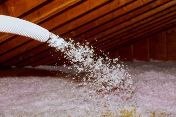 Best Insulation Maintenance and Repair in San Luis Obispo, CA