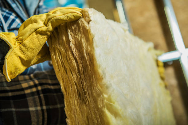Best DIY Insulation Kits and Guidance in San Luis Obispo, CA